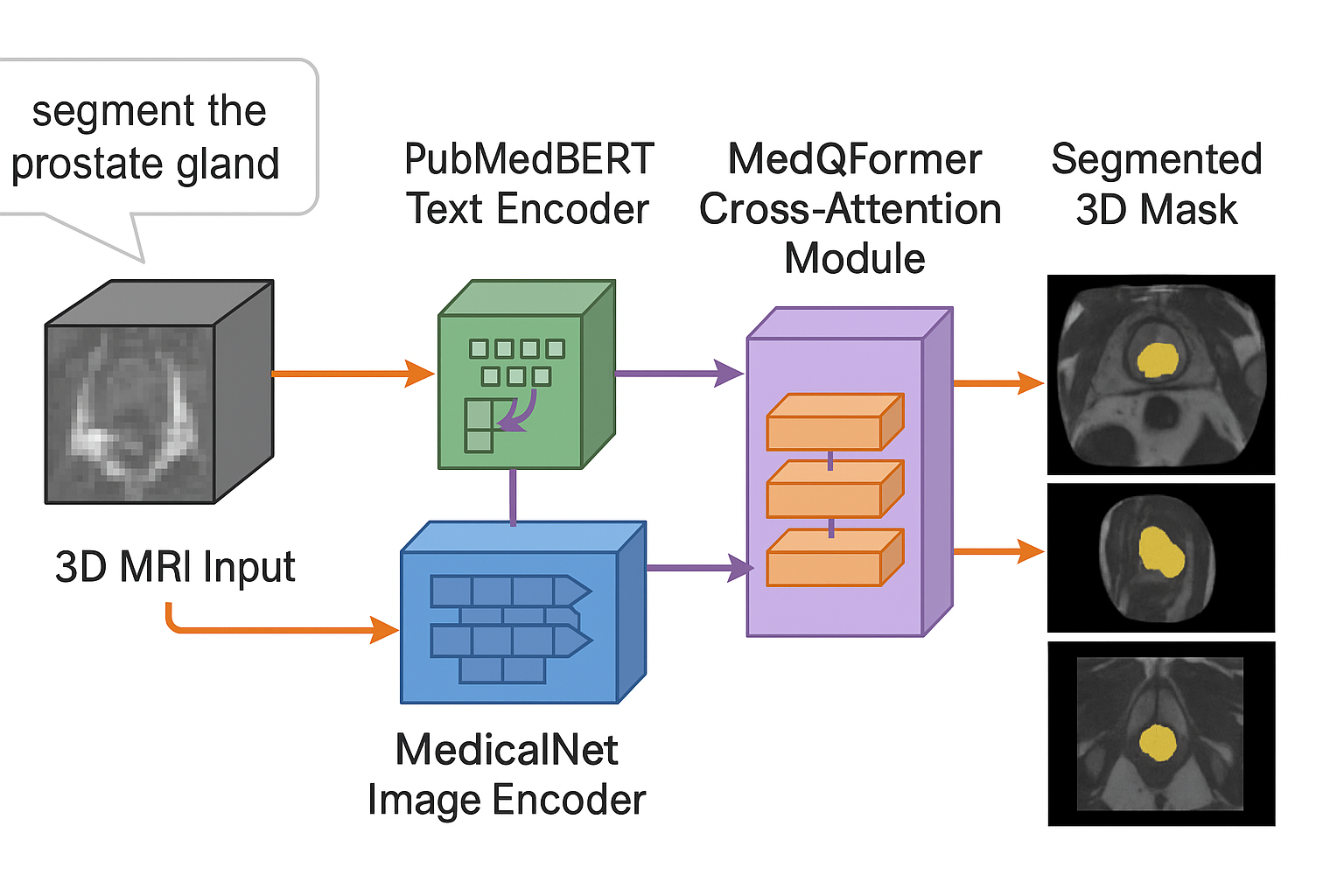 MedBLIPNet3D