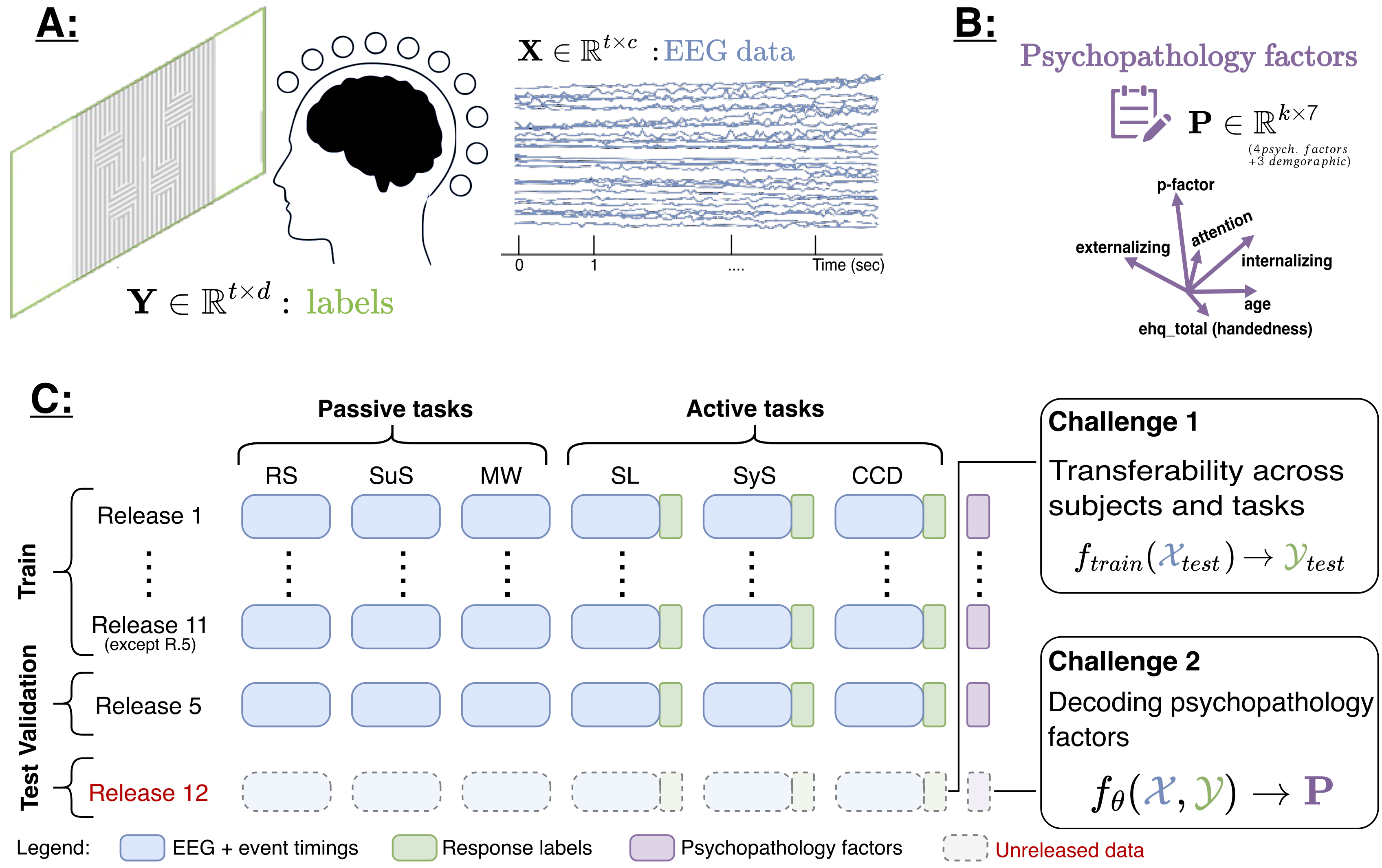 EEG Brain decoding